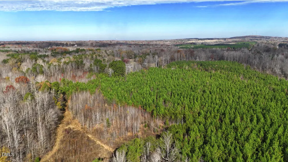 Lot 4 Bessie Daniel Road Roxboro, NC 27574