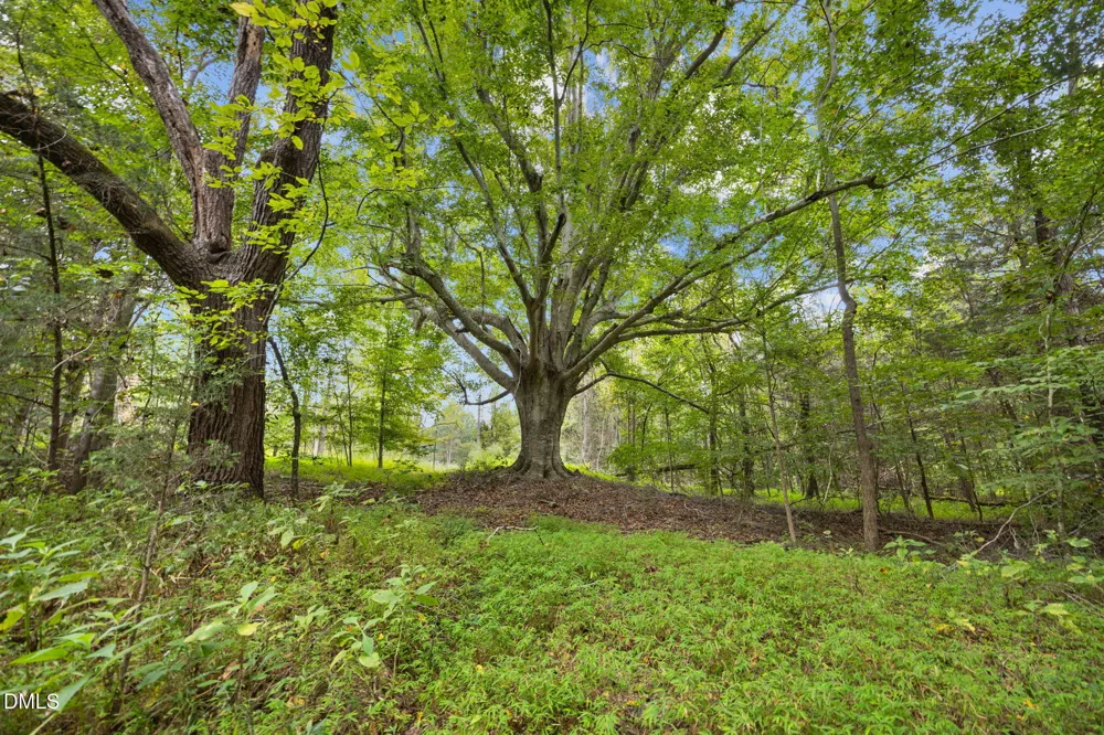 Lot D Wolf Tree Way Efland, NC 27243