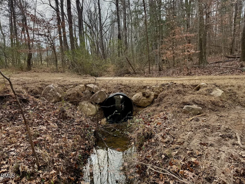 Lot D Wolf Tree Way Efland, NC 27243