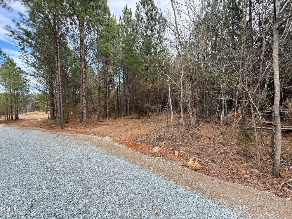 Lot D Wolf Tree Way Efland, NC 27243