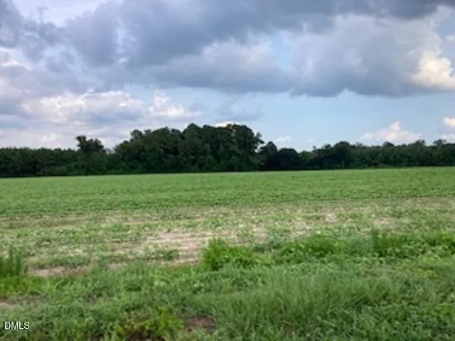 0 Waycross Road Turkey, NC 28393