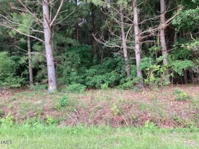0 Waycross Road Turkey, NC 28393