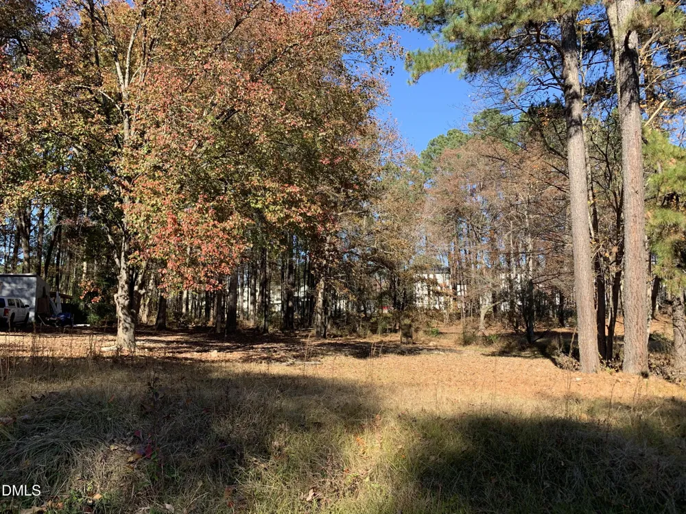 133 Green Drive Morrisville, NC 27560