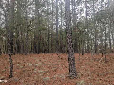 13 Saw Grass Road