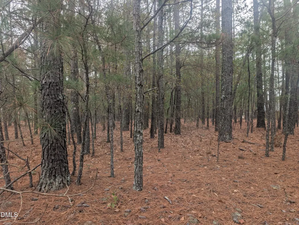 13 Saw Grass Road Eagle Springs, NC 27242