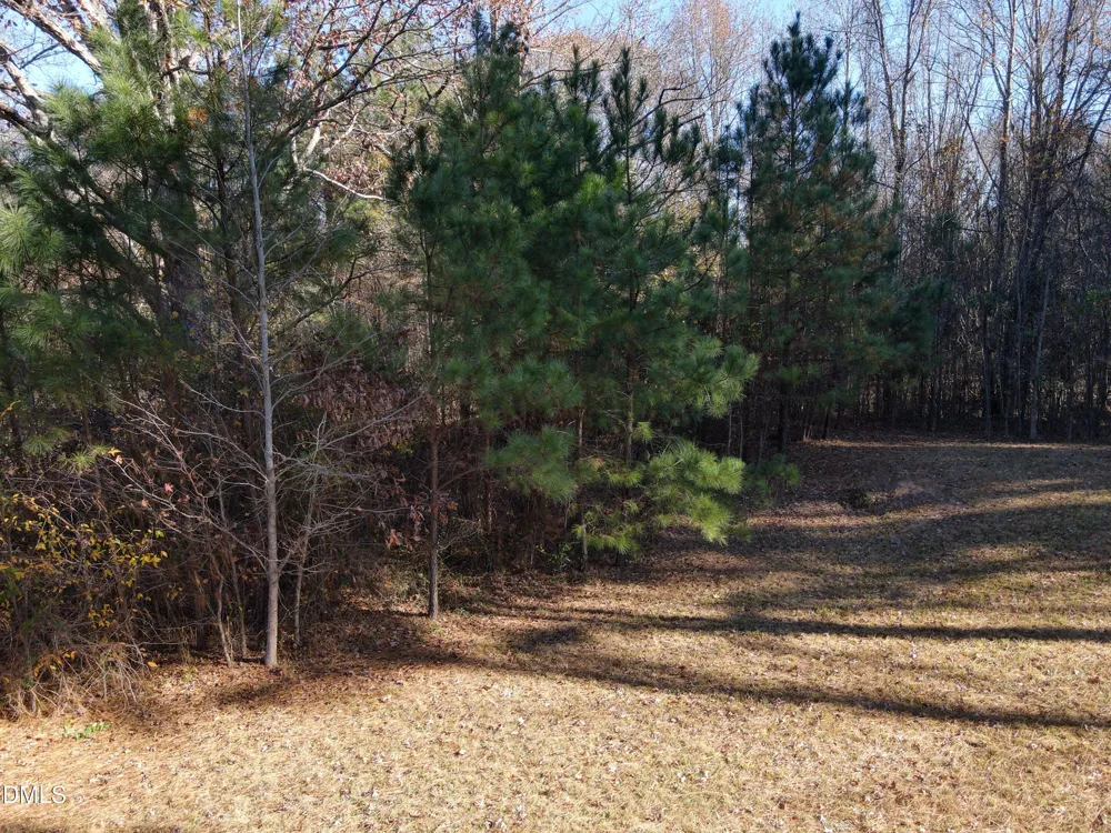 0 Old Halifax Road Zebulon, NC 27597