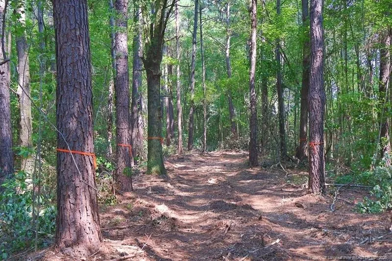 TBD Kehukee Drive Parkton, NC 28371