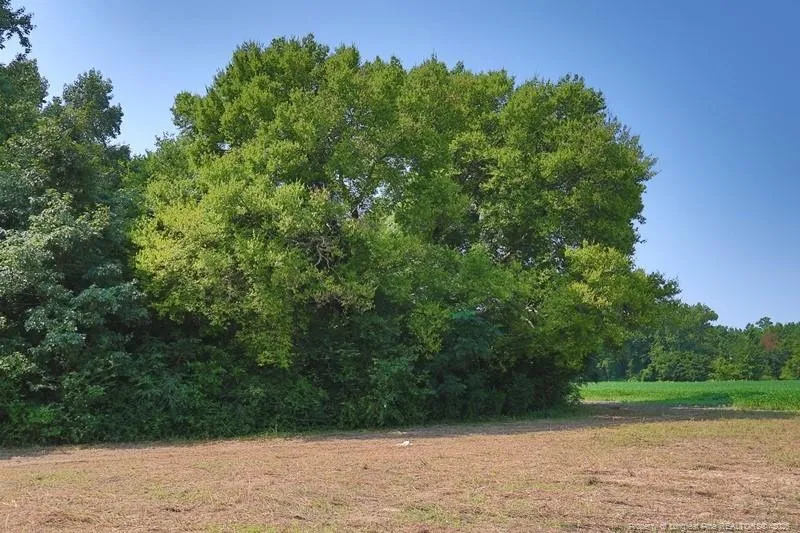 TBD Kehukee Drive Parkton, NC 28371