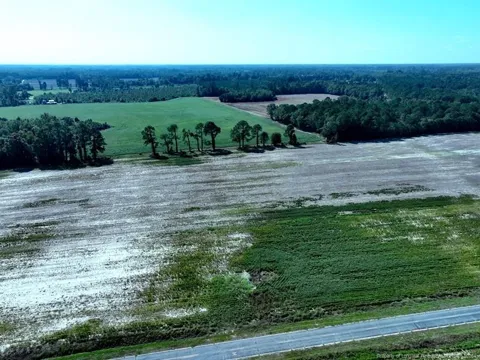 TBD Cowpen Swamp Road