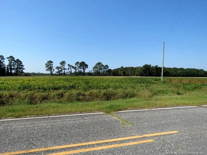 TBD Cowpen Swamp Road Fairmont, NC 28340