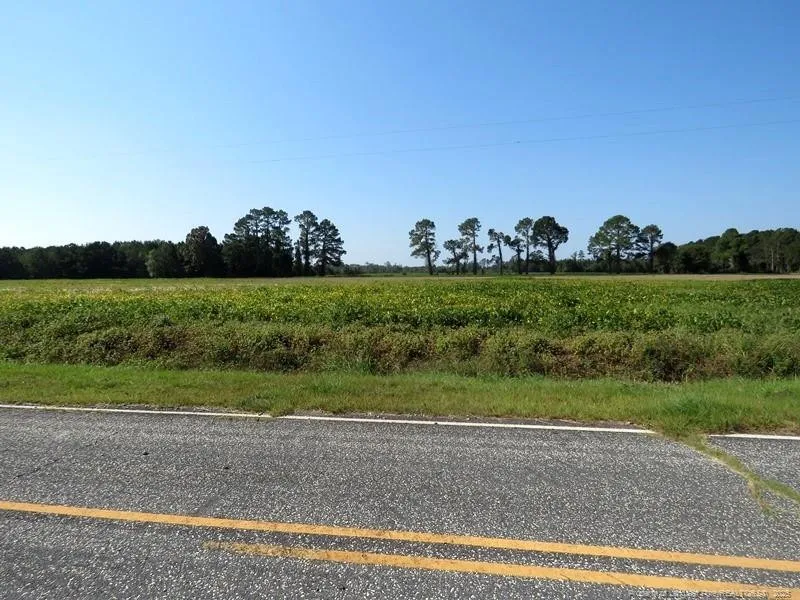 TBD Cowpen Swamp Road Fairmont, NC 28340