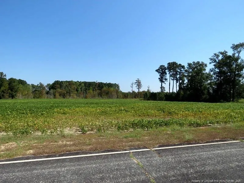 TBD Cowpen Swamp Road Fairmont, NC 28340