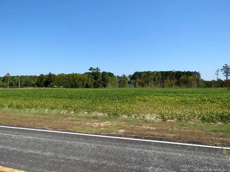 TBD Cowpen Swamp Road Fairmont, NC 28340
