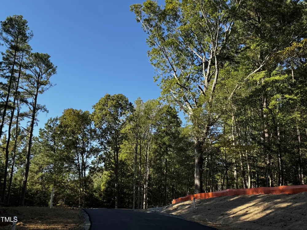 85 Noble Reserve Way Pittsboro, NC 27312