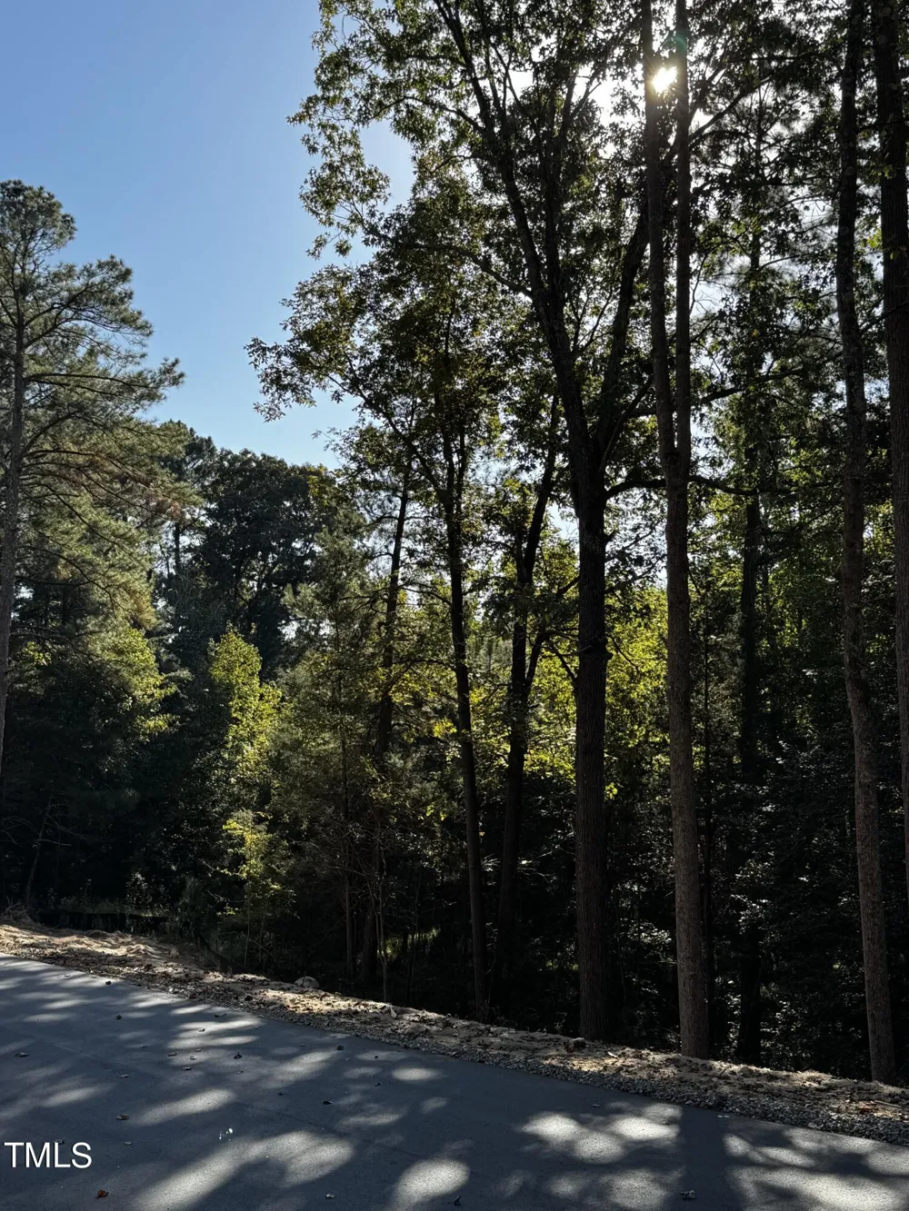 85 Noble Reserve Way Pittsboro, NC 27312