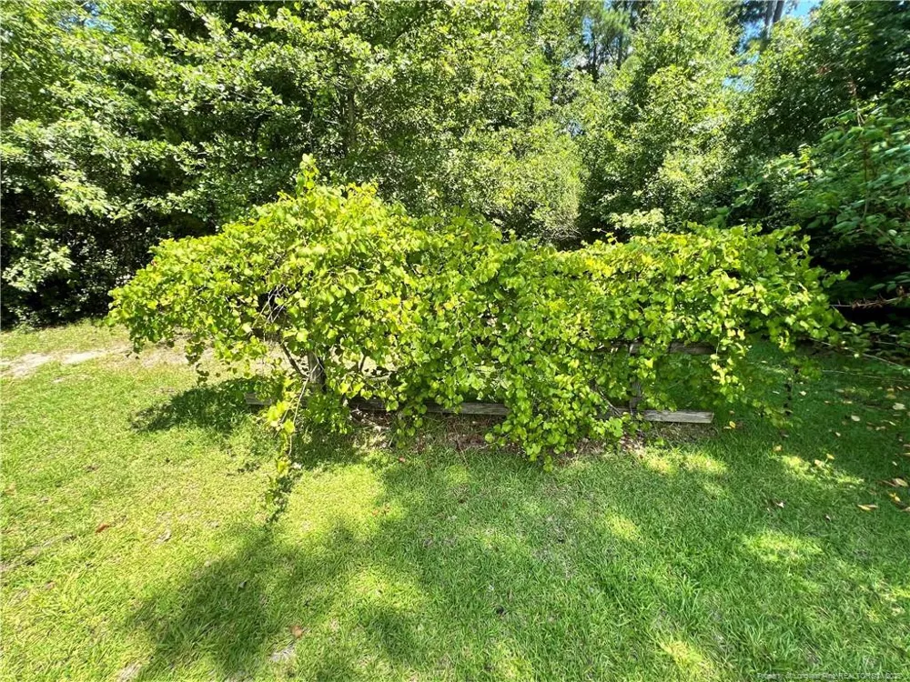 510 ARRINGTON STREET Rowland, NC 28383