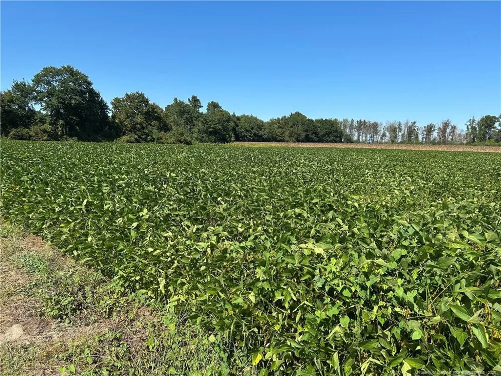 McQuage Road Raeford, NC 28376