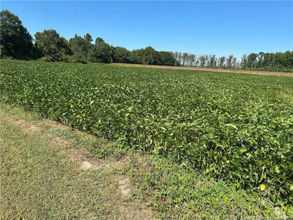 McQuage Road Raeford, NC 28376