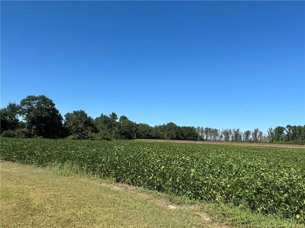 McQuage Road Raeford, NC 28376