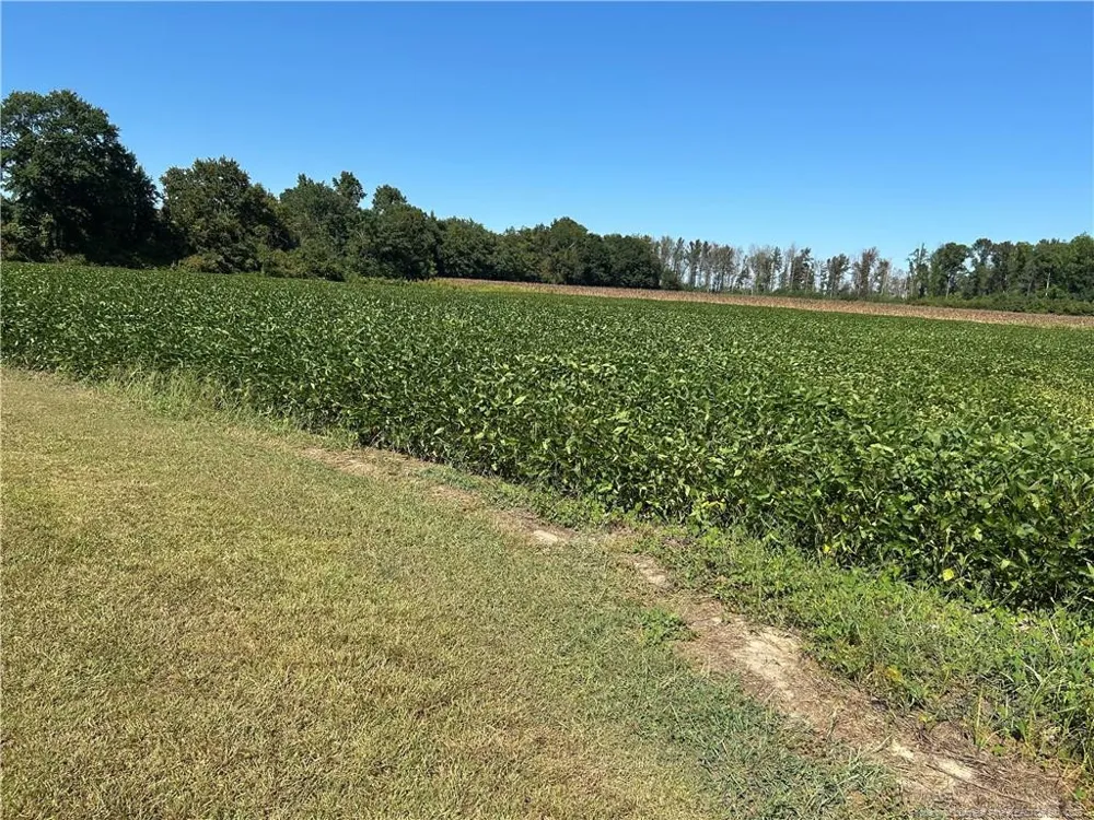 McQuage Road Raeford, NC 28376
