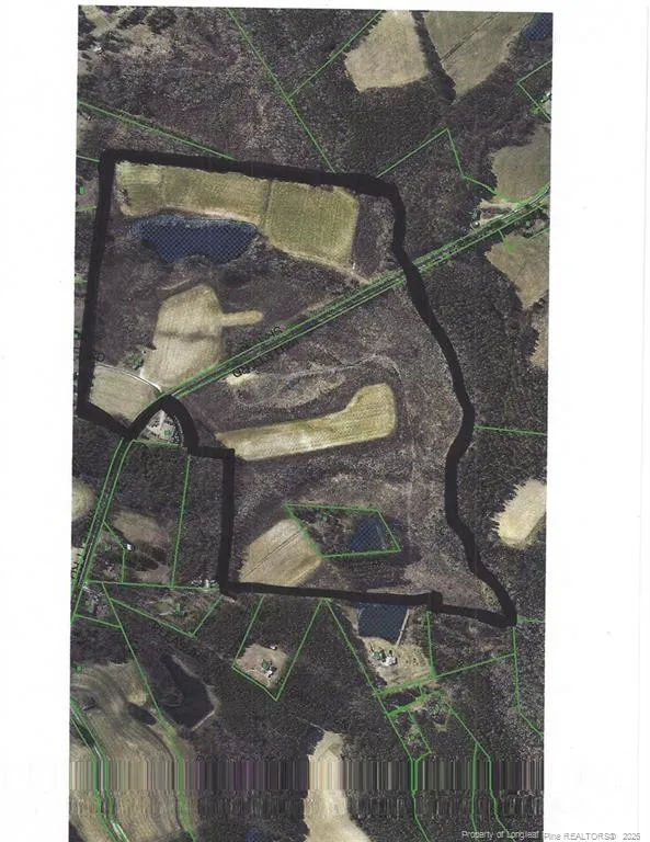 0 Willett Road (48 Elliott Road) Sanford, NC 27330