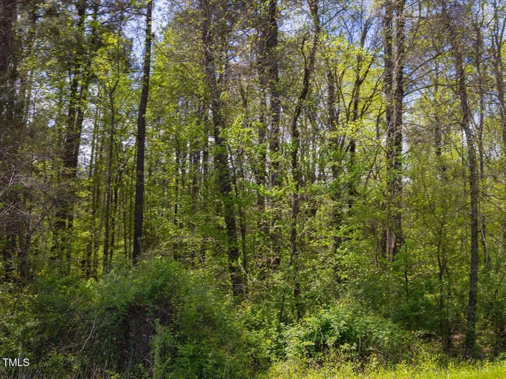 0 Crawford Dairy Road Pittsboro, NC 27312