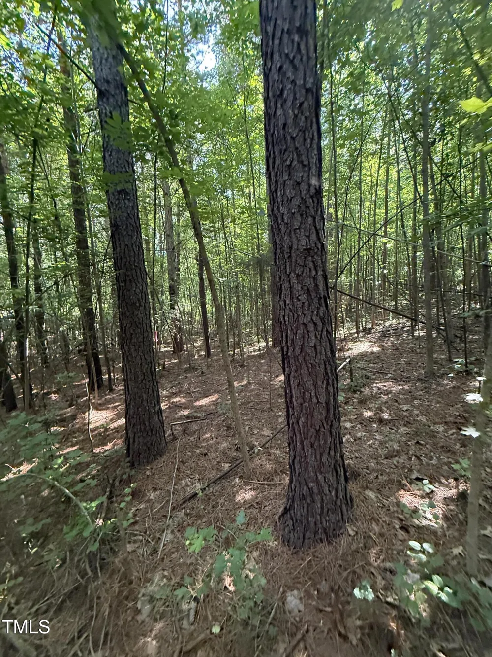 190 Louise Jenkins Road Moncure, NC 27559