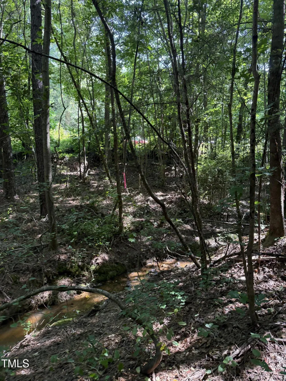 190 Louise Jenkins Road Moncure, NC 27559