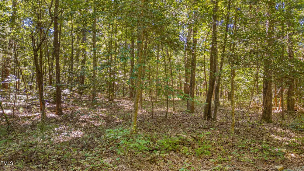 0 Goathouse Road Pittsboro, NC 27312