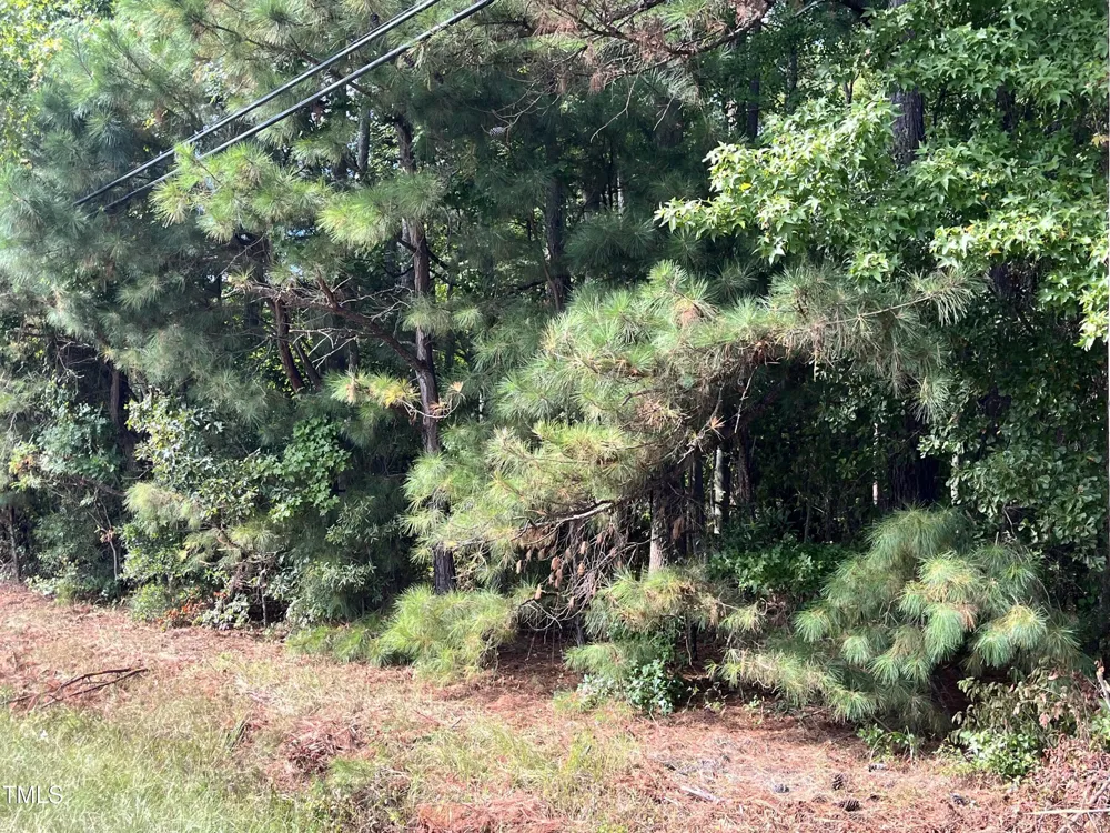 Tbd Cokey Road Rocky Mount, NC 27801