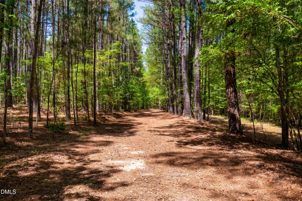 2510 Tody Goodwin Road Apex, NC 27502
