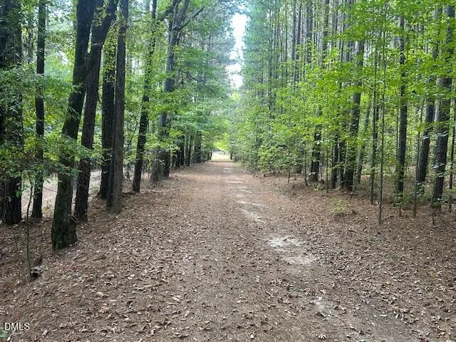 2510 Tody Goodwin Road Apex, NC 27502
