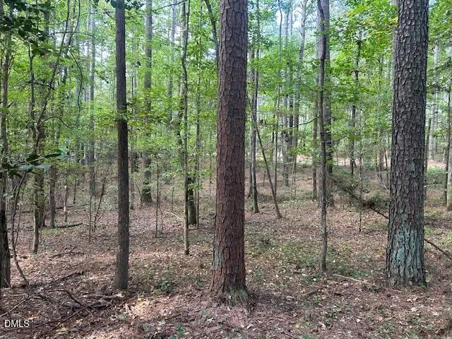 2510 Tody Goodwin Road Apex, NC 27502