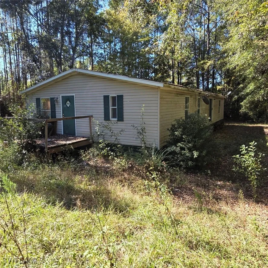 FIREWEED STREET Middleburg, FL 32068