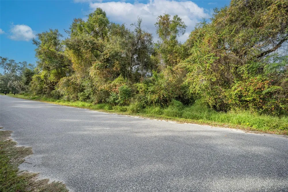 ROYAL OAK ROAD Fruitland Park, FL 34731