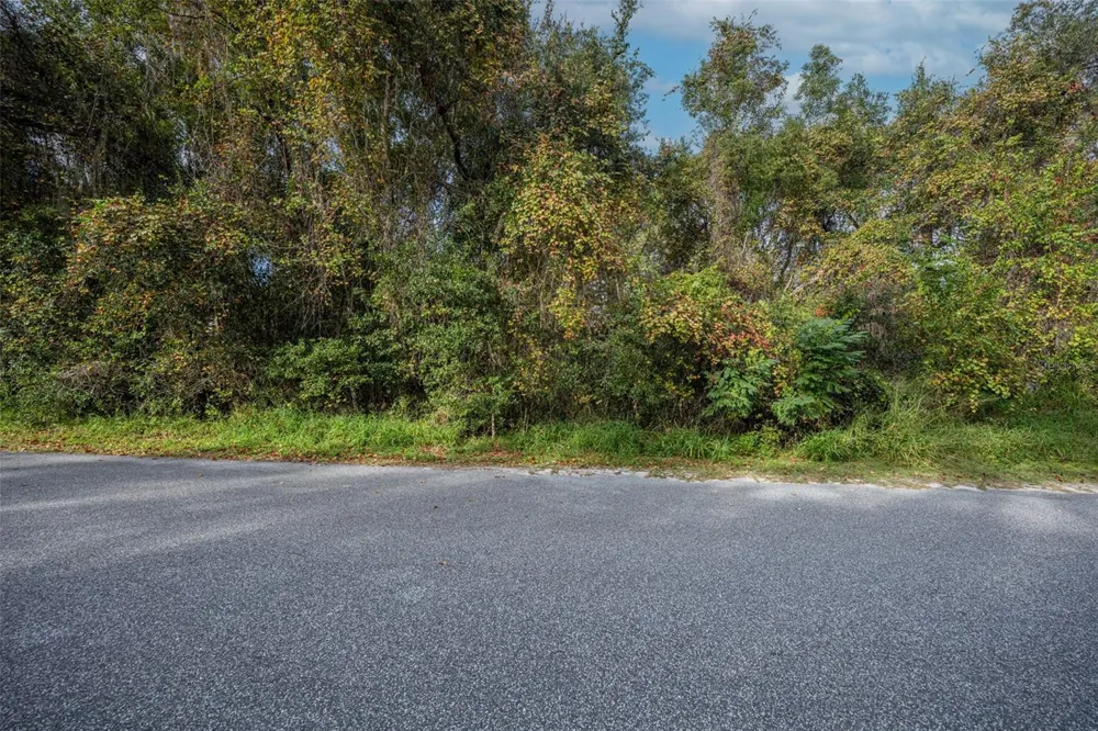 ROYAL OAK ROAD Fruitland Park, FL 34731