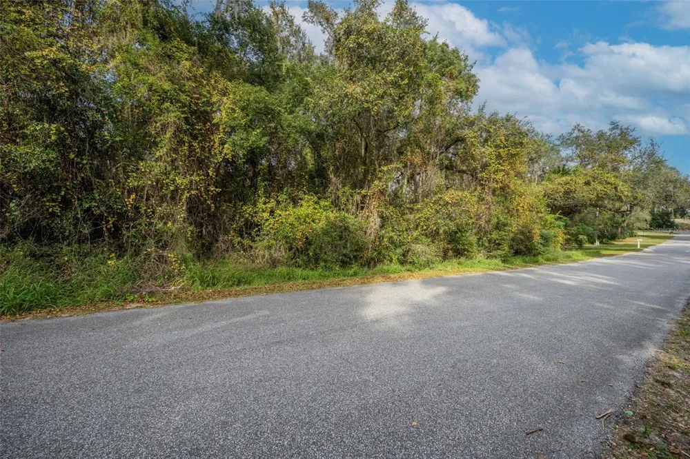 ROYAL OAK ROAD Fruitland Park, FL 34731