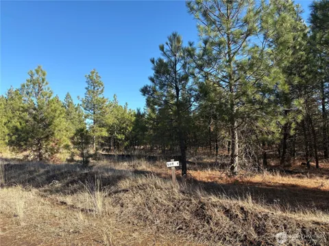 35470 Prairie Lane #Lot 1
