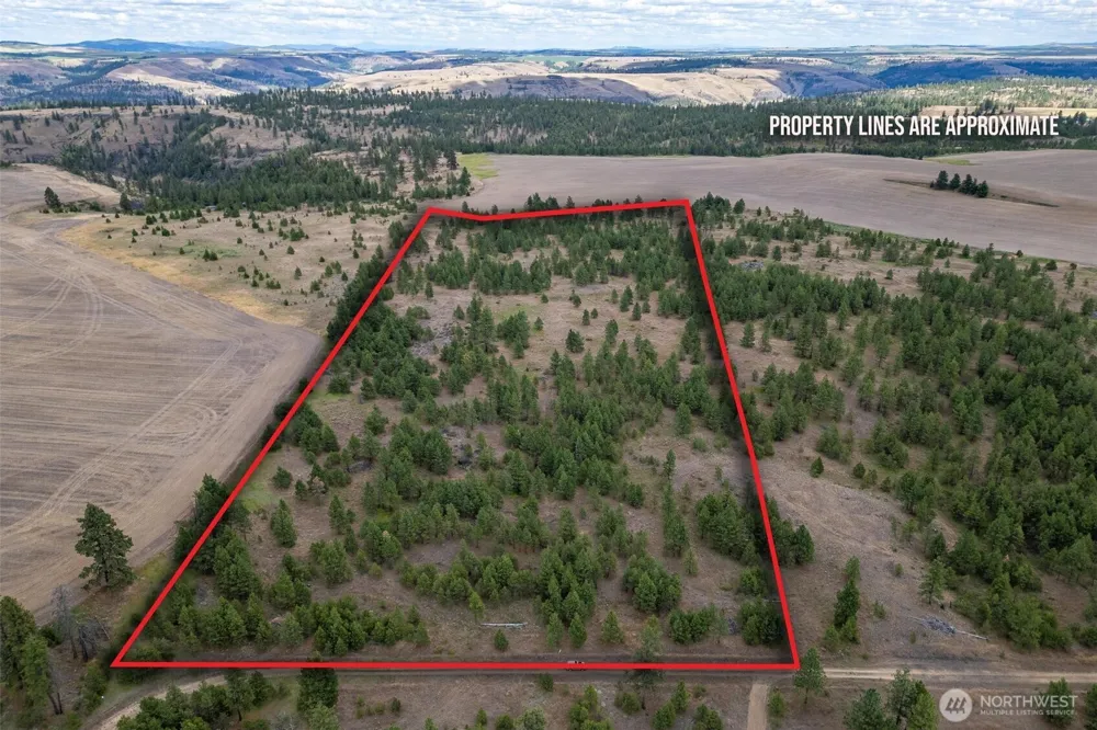 35470 Prairie Lane #Lot 1 Creston, WA 99117