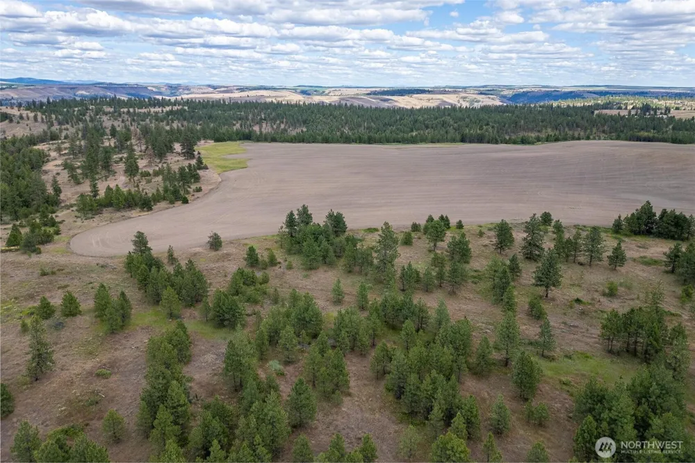 35470 Prairie Lane #Lot 1 Creston, WA 99117