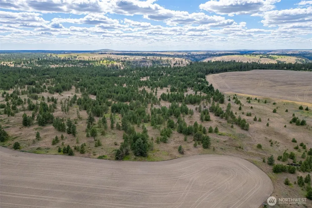 35470 Prairie Lane #Lot 1 Creston, WA 99117