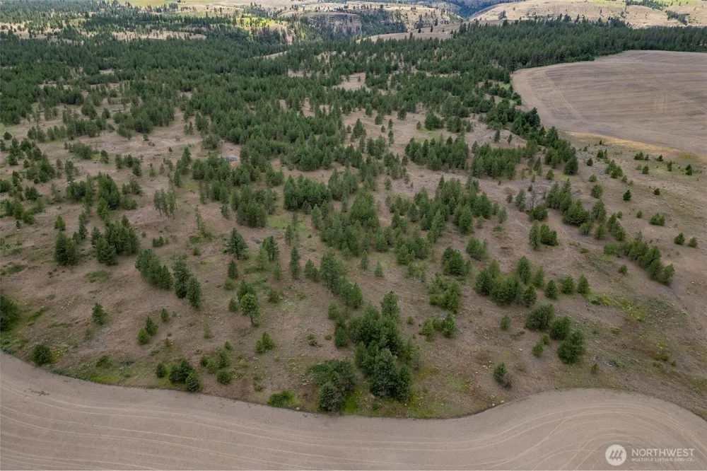 35470 Prairie Lane #Lot 1 Creston, WA 99117