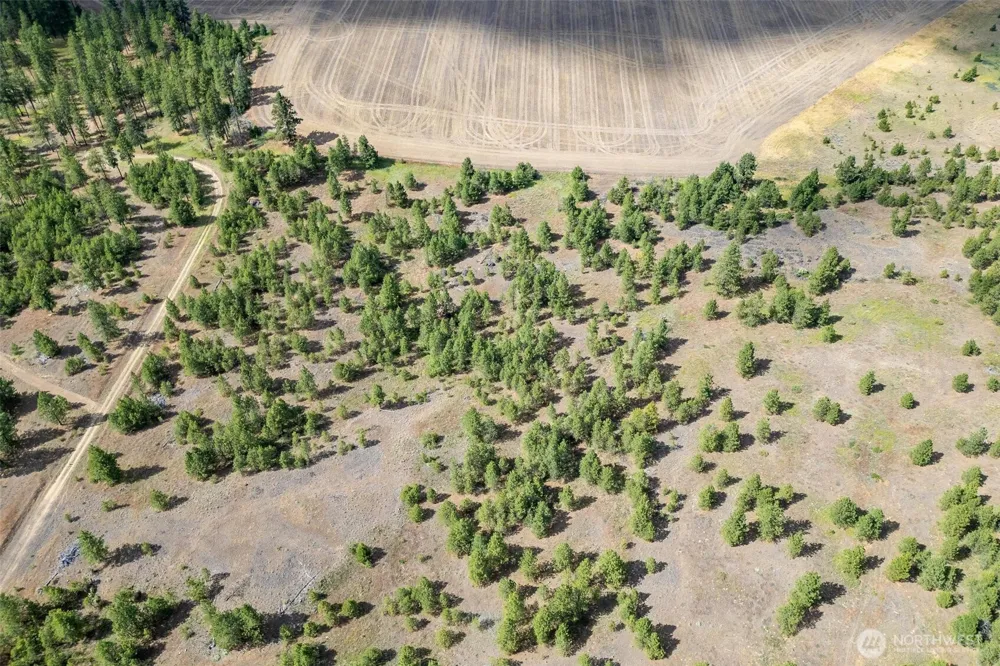 35470 Prairie Lane #Lot 1 Creston, WA 99117