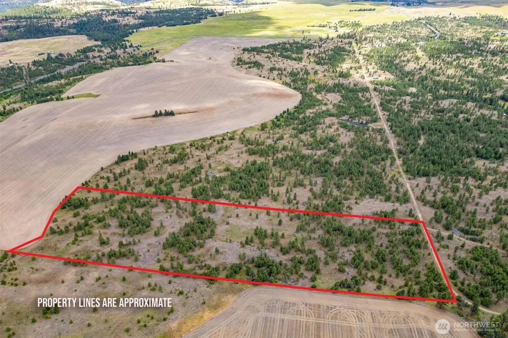 35470 Prairie Lane #Lot 1 Creston, WA 99117