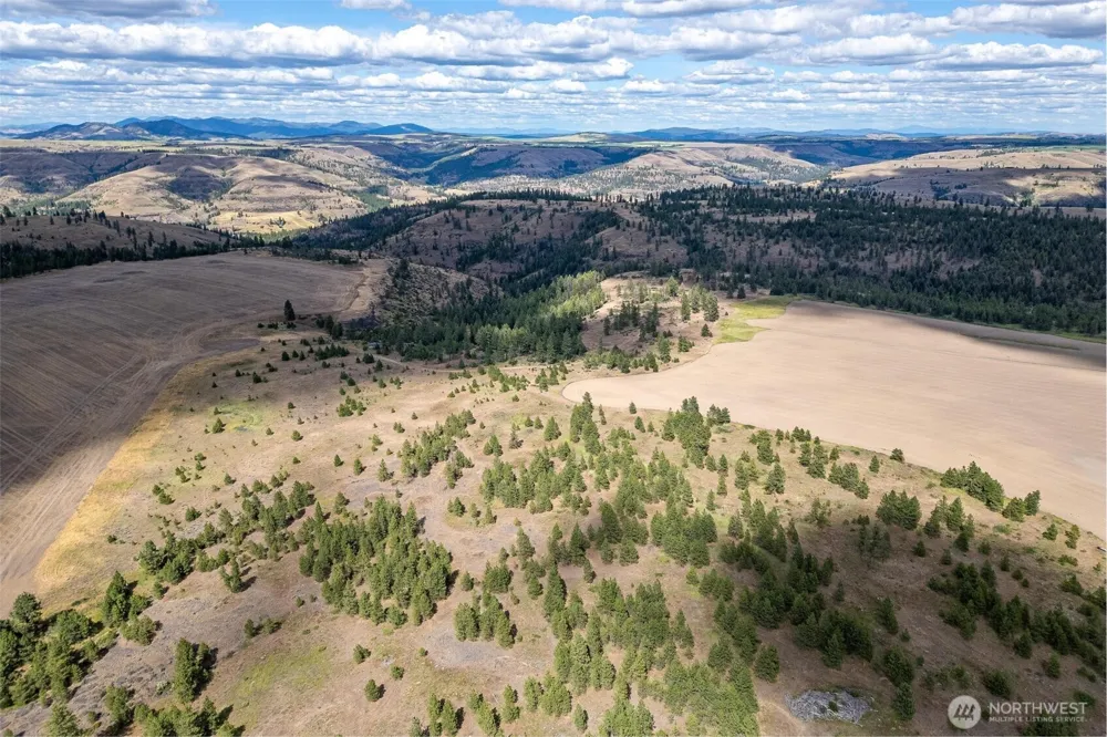 35470 Prairie Lane #Lot 1 Creston, WA 99117