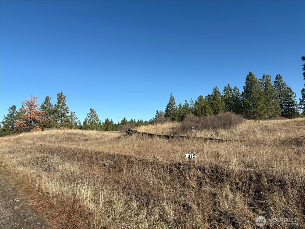 35390 Prairie Lane #Lot 5 Creston, WA 99117