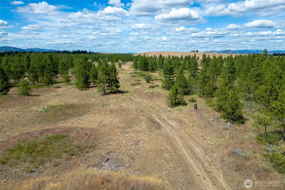 35390 Prairie Lane #Lot 5 Creston, WA 99117