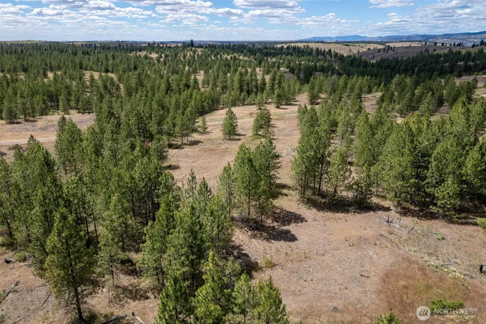 35390 Prairie Lane #Lot 5 Creston, WA 99117