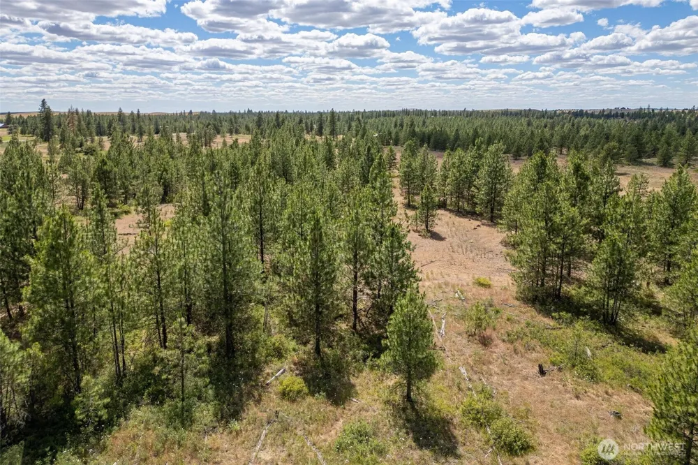 35390 Prairie Lane #Lot 5 Creston, WA 99117