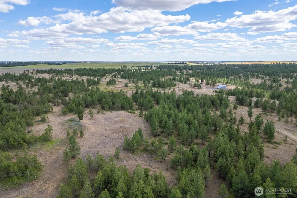 35390 Prairie Lane #Lot 5 Creston, WA 99117